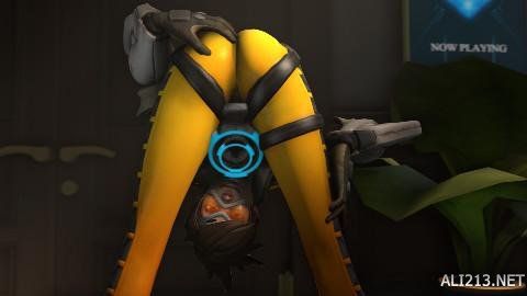 他的场上智 他的场上智